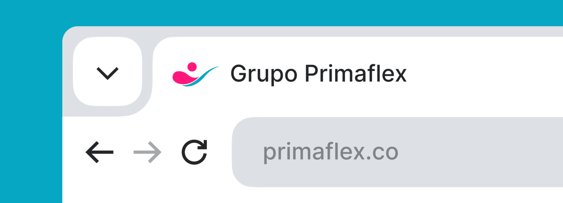 Primaflex web search